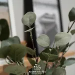 公寓 Urban Soho Collection By Aloha